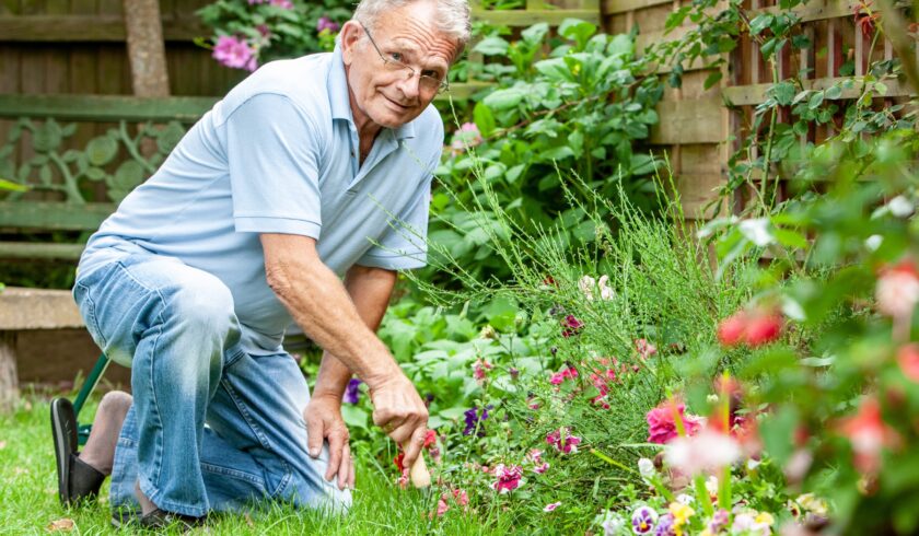 From a series of related images.